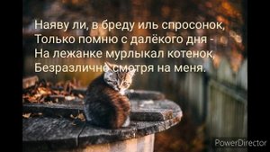 С. ЕСЕНИН  "Ах, как много на свете кошек"