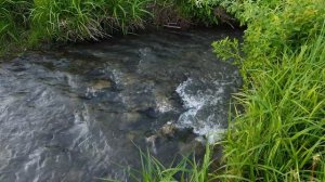 #naturesounds , 安穩舒眠, звуки для сна, звук течения воды, звук реки, течет вода, river sound