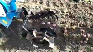 Картофелекопалка транспортерная универсальная ККТУ