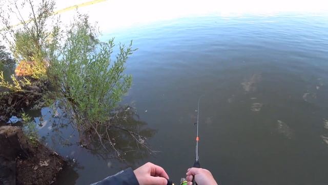 Ловля на спиннинг в черте города на отводной поводок смотреть онлайн