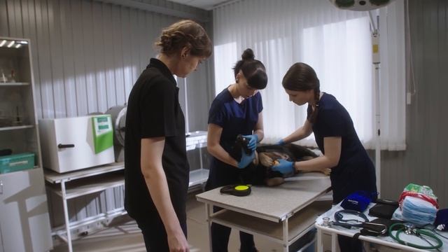 Шоу профессий «Натуральный продукт» смотреть онлайн