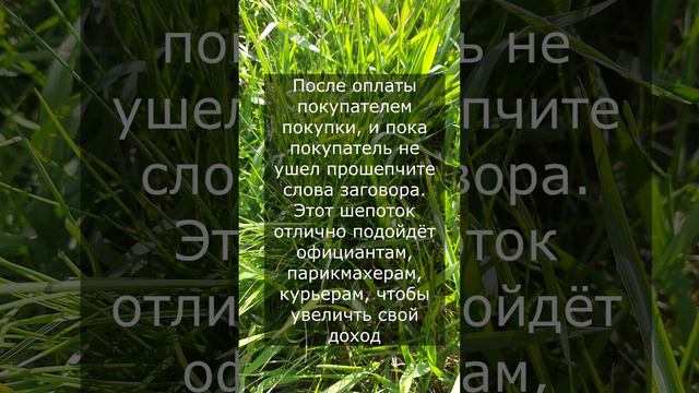 Как увеличить продажи. Шепоток на первого покупателя. Как продать не продаваемое