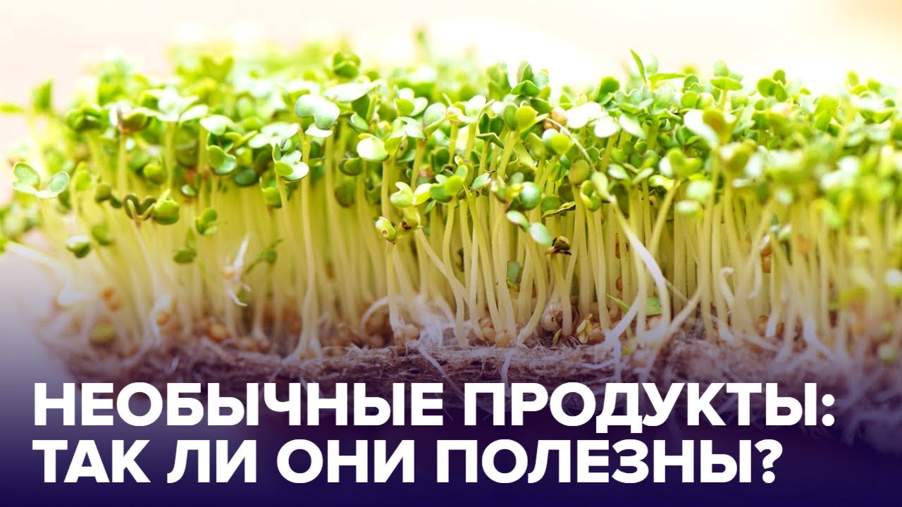 Необычные ПОЛЕЗНЫЕ продукты: почему они стали так популярны?