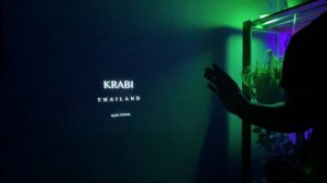 Light Unicorn X7 #проектор  за 6000 рублей - #обзор