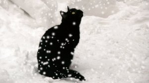 Худой, замерзший кот сидел на краю обледеневшего тротуара и провожал глазами спешащих прохожих