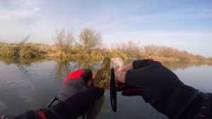 Вот какая бывает РЫБАЛКА, когда НЕТ СЕТЕЙ!.. Твичинг, ловля щуки на воблеры