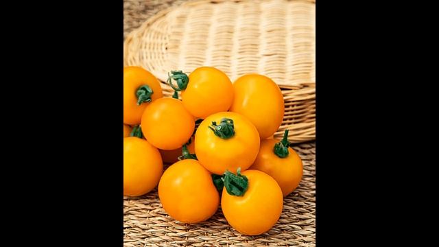 Самый лучший томат в мире 2023 г.!!! Высокоурожайный, сладкий и вкусный томат сорта МИЛОВИЧКА!!!