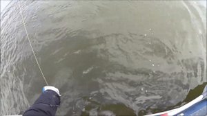 Иртыш / Троллинг воблерами и тяжелыми джиг головками / джиг офсетником / 23 сентября 2017