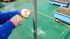 пластиковые проволоки