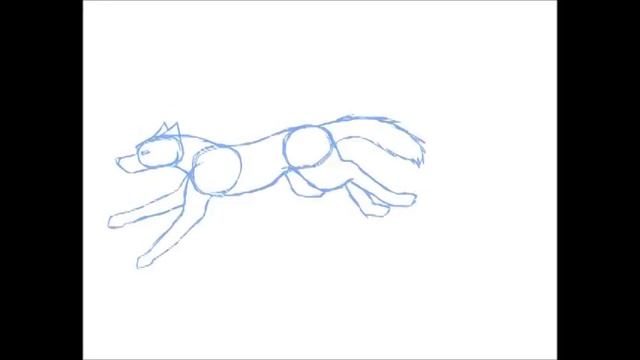 Wolf Run Cycle - Frame by Frame смотреть онлайн