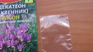 додекатеон или дряквенник
