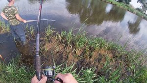 Сезон ловли сазана открыт. Какой кайф тащить сазана.  Моя сазанья рыбалка.