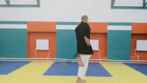 Тренировочные ляпы с нунчаку