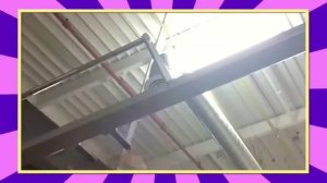 смешные видосы