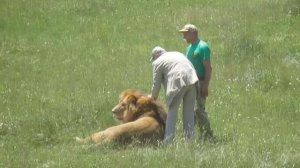 Николай Дроздов в открытом сафари
