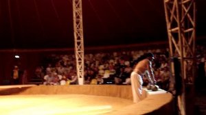 Цирк в Анапе