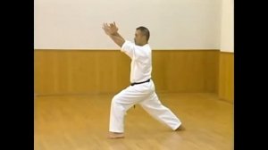 Ката Пинан соно Го Киокушинкай каратэ(Pinan sono Go Kyokushinkai)
