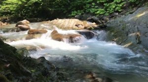 Белый шум воды горной реки в Сочинском национальном парке – Mountain river water white noise