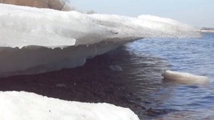 Разведка летних мест на Оби. Рыбалка на фидер ранней весной.