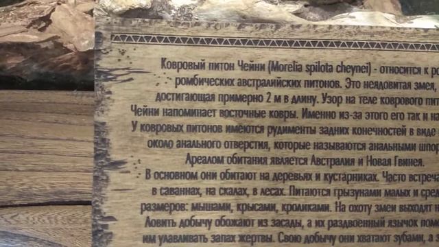 25.06.22 парк Лога, экзотариум "за тридевять земель" смотреть онлайн