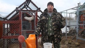 Бюджетная дезинфекция выгула у кур, своими руками.