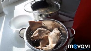 Варёное мясо кролика и шаурма!