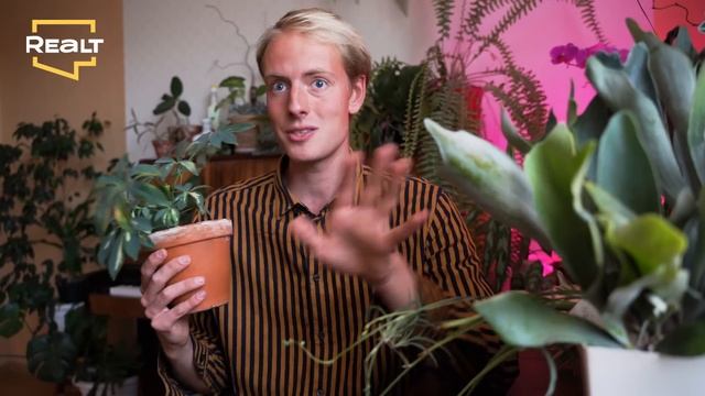 Вырастил больше тысячи растений | Как живут смотреть онлайн