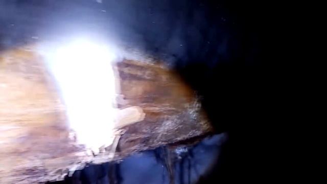 С ЭТОЙ ВОЗДУШКОЙ МОЖНО СМЕЛО ИДТИ НА ОХОТУ / ПРИСТРЕЛИВАЕМ ПНЕВМАТИКУ В ЛЕСУ смотреть онлайн