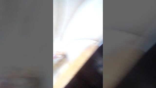 Русалки существуют!!! смотреть онлайн