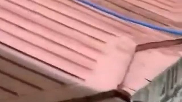 Гимназия смотреть онлайн