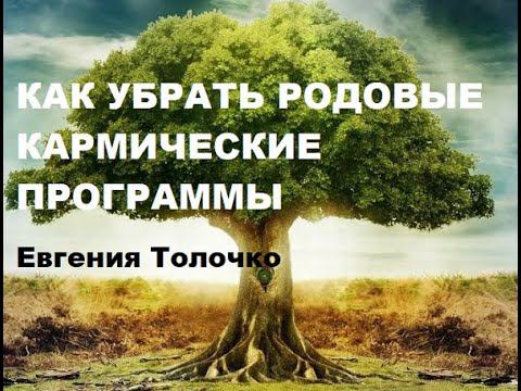 Как убрать родовые кармические программы. Евгения Толочко.