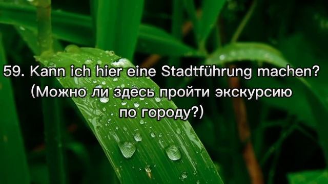 Немецкий для начинающих. 100 фраз, чтобы начать общаться.