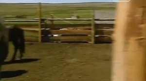 Тува  Далеко и ещё дальше с Михаилом Кожуховым