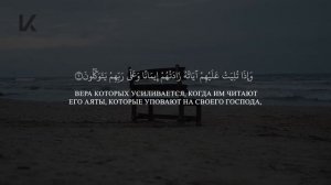 Абу Хаджар, прекрасное чтение. Сура Аль-Анфаль