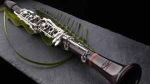 shaxov shuxov klarnet urax sharan/popuri 8