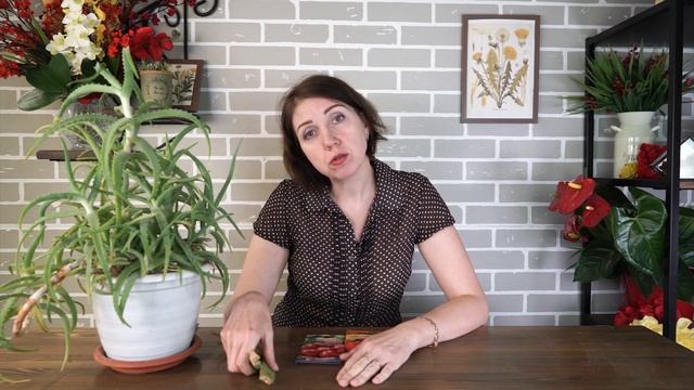 Замачивание семян в листе алоэ ✔️ Семена в листике алоэ смотреть онлайн