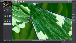 Use Topaz ReMask 5 in PhotoShop CC 2015