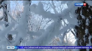 Погода балует: Забайкалье ждёт аномально тёплая зима