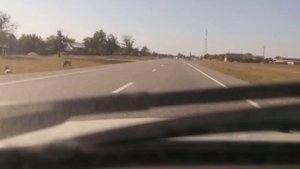 Обзор ст ищёрская.