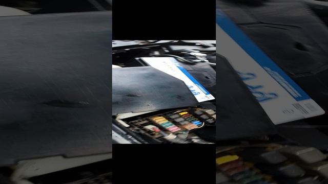 ПРЕДОХРАНИТЕЛИ МУССО. смотреть онлайн