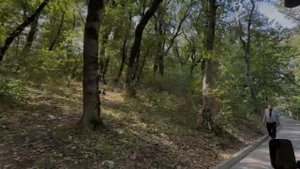 Экскурсия на электрокаре вокруг горы Железной в Курортном парке Железноводска.