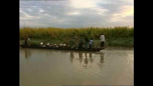 Охота на льва,Lion hunting смотреть онлайн