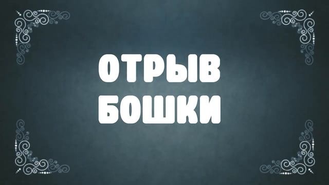 Holy Baam КЛИПЫ, КОТОРЫЕ НИКТО НЕ ВИДЕЛ смотреть онлайн