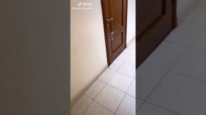 ДИКАЯ ЛЬВИЦА ТЫ МОЯ ЦАРИЦА