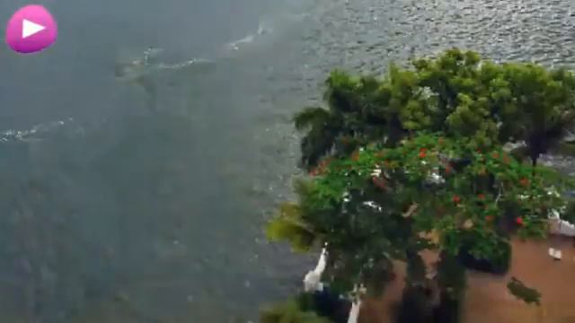 Kochi, India Wikipedia travel guide video. Created by Stupeflix.com