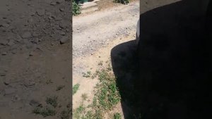 Как получить страховой полис иностранному гражданину на получение бесплатной медицинской помощи ???