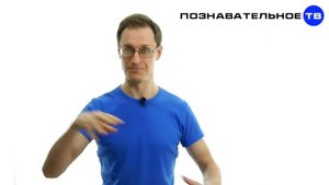 Идите все в баню! (Познавательное ТВ)