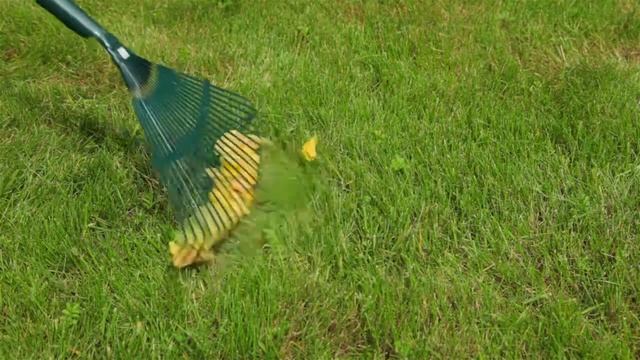 Уборка территорий в летний период от клининговой компании «Ронова» смотреть онлайн