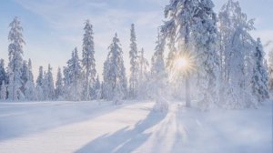 Мелодия ветра ✨