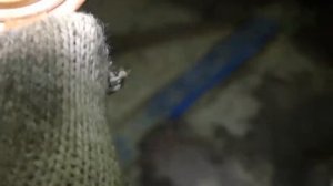 Откуда течёт масло из двигателя Приора, двигатель весь в масле.